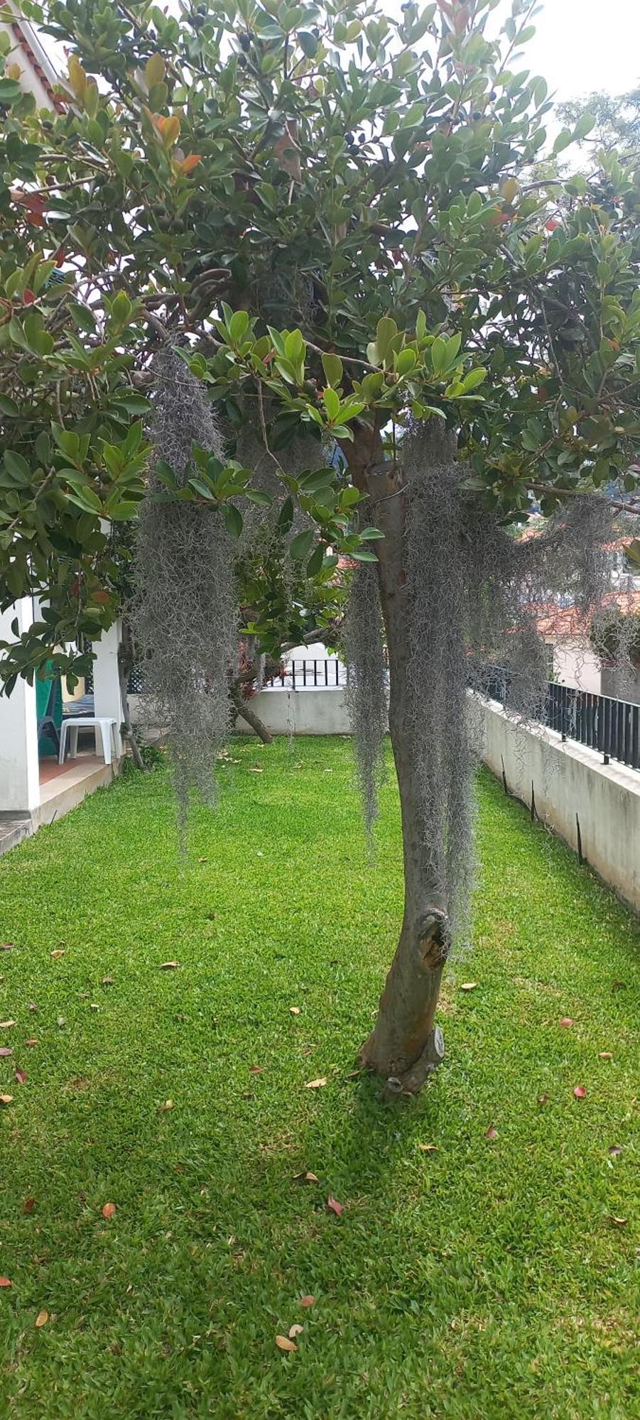 Villa Cosy Nook Funchal  Exterior photo